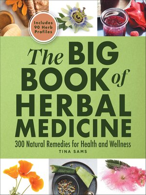 cover image of The Big Book of Herbal Medicine